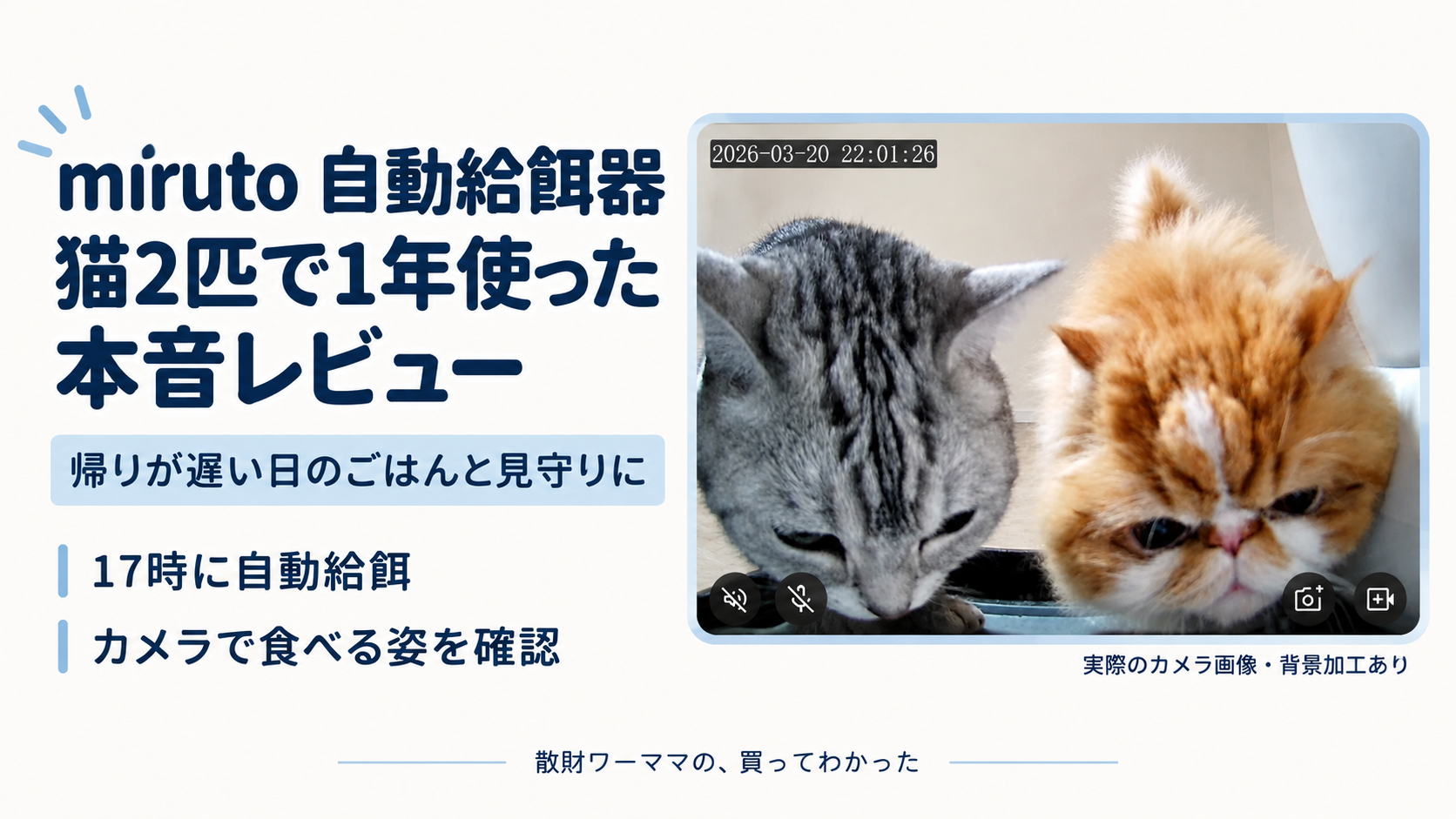 miruto自動給餌器を猫2匹で1年使った本音レビューのアイキャッチ（カメラ画像の背景加工あり）